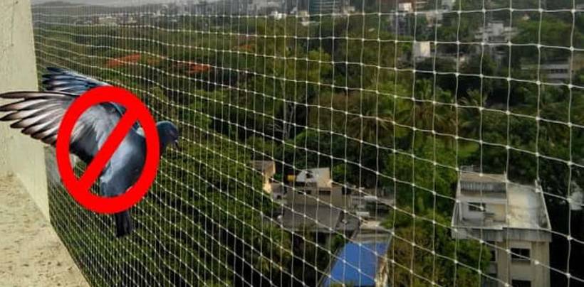 Pigeon Nets Installation In Hyderabad | Call 9789148145 for Best Quality Net 