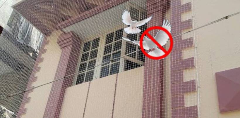 Pigeon Nets For Balconies In Hyderabad | Call 9789148145 Venkateshwara Enterprises